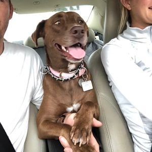 Meet your Posher, Sean